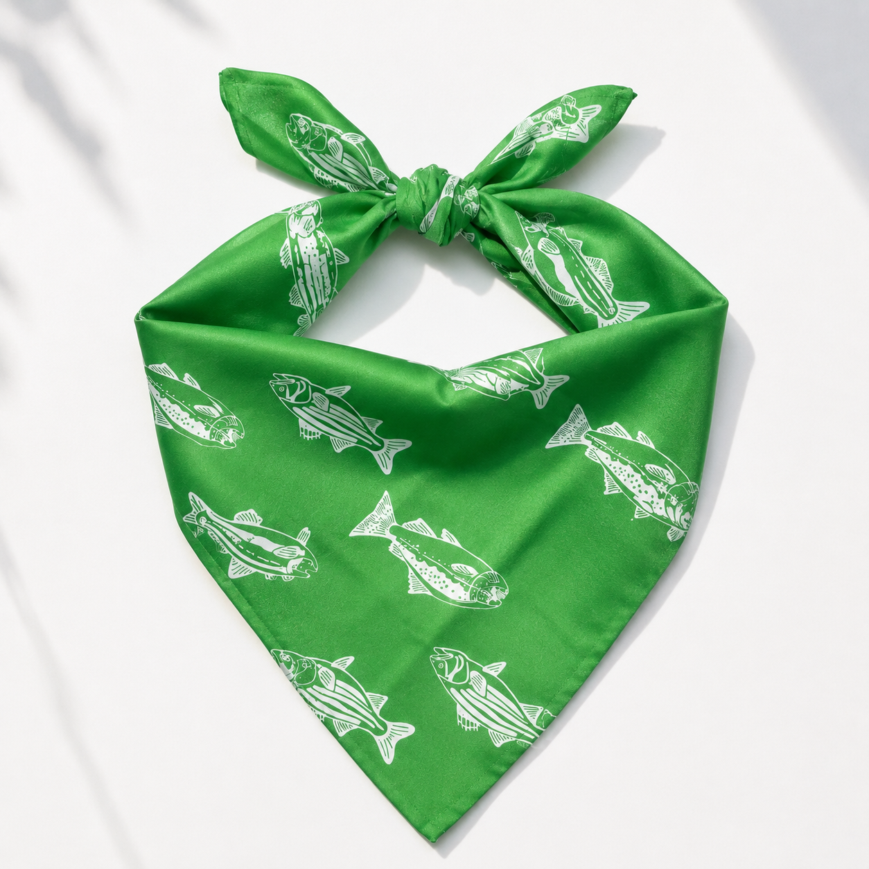 Fish Print Scarf